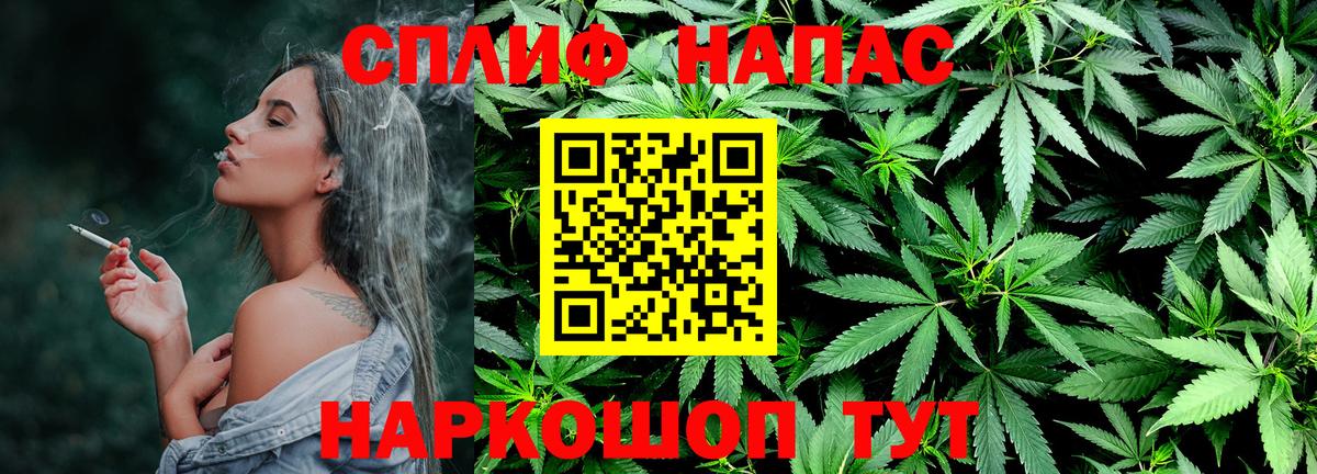 Канабис сатива Екатеринбург